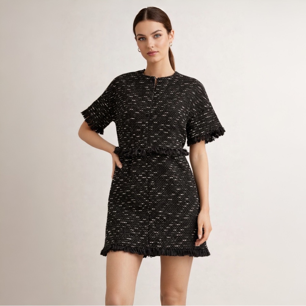 Zara Woman Black Tweed Fringe Mini Dress-NWT-Small